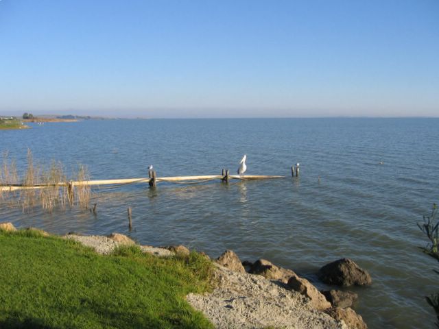 Lake Albert2.jpg